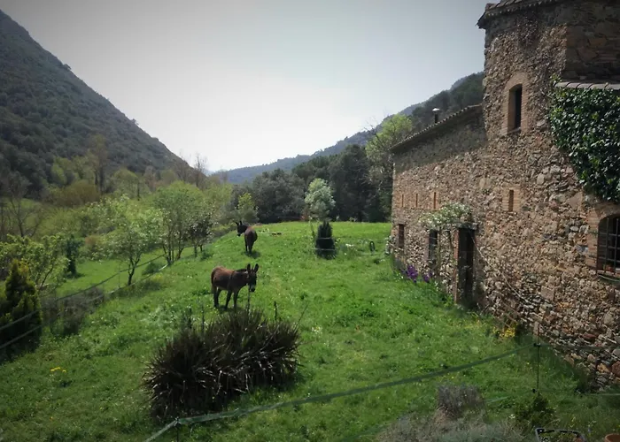 Bed And Breakfast Casanova De Sant Miquel